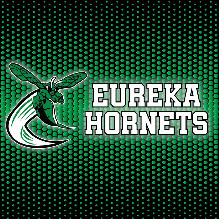 District 140 - Eureka Hornets